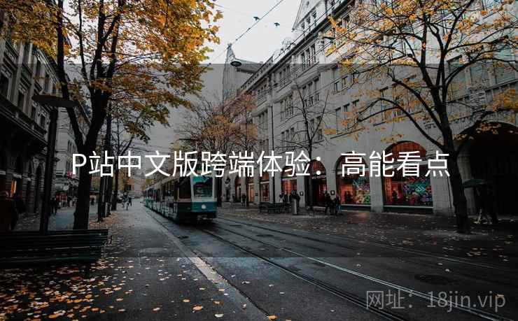 P站中文版跨端体验：高能看点