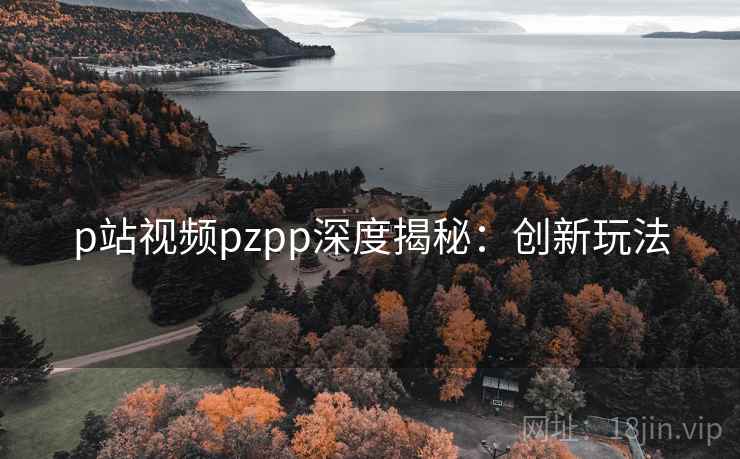 p站视频pzpp深度揭秘：创新玩法