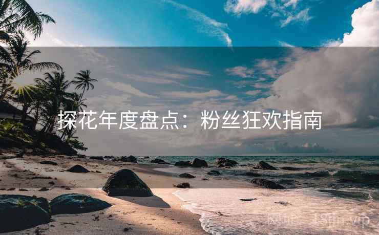 探花年度盘点：粉丝狂欢指南
